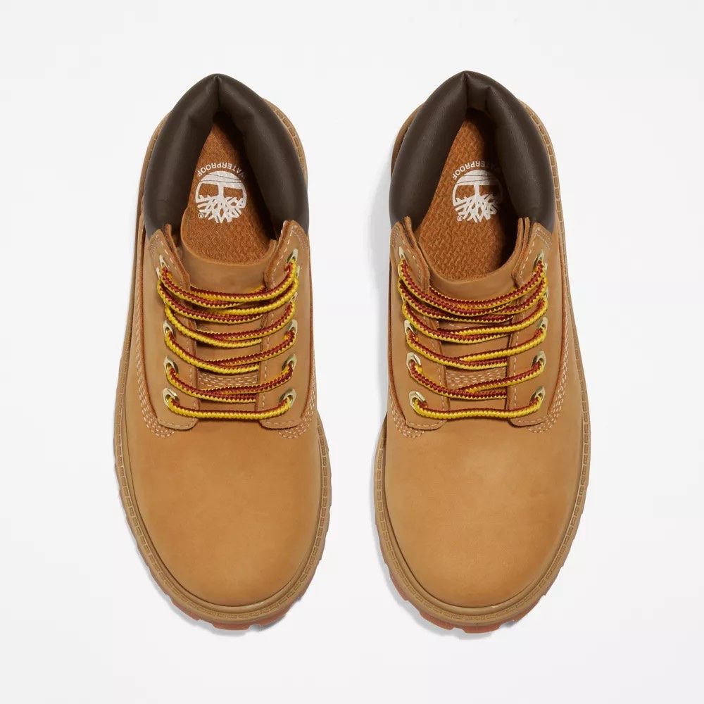 Timberland 6IN PREMIUM WP BOOT čizme