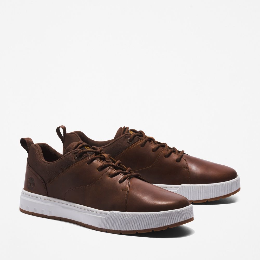 MUŠKE TENISICE MAPLE GROVE LTHR OX