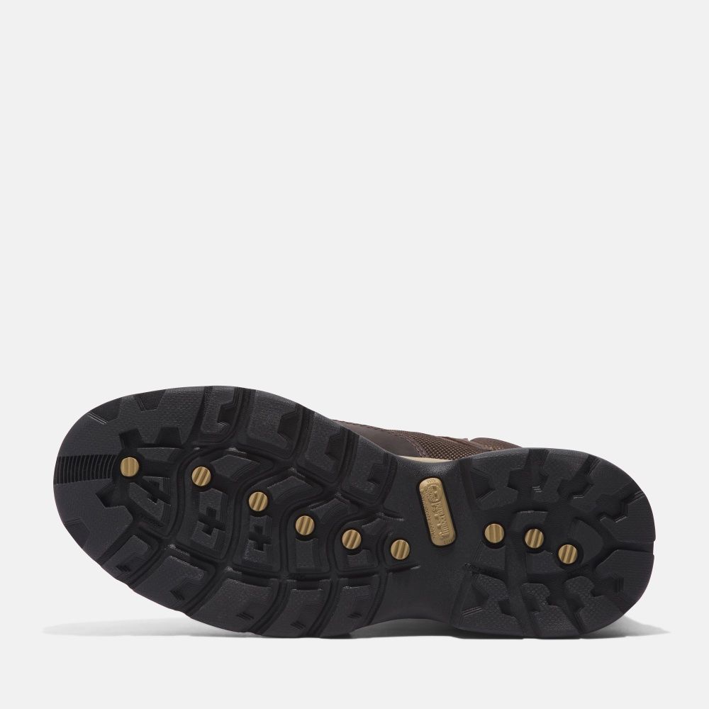 ŽENSKE ČIZME WHITE LEDGE HIKER WP